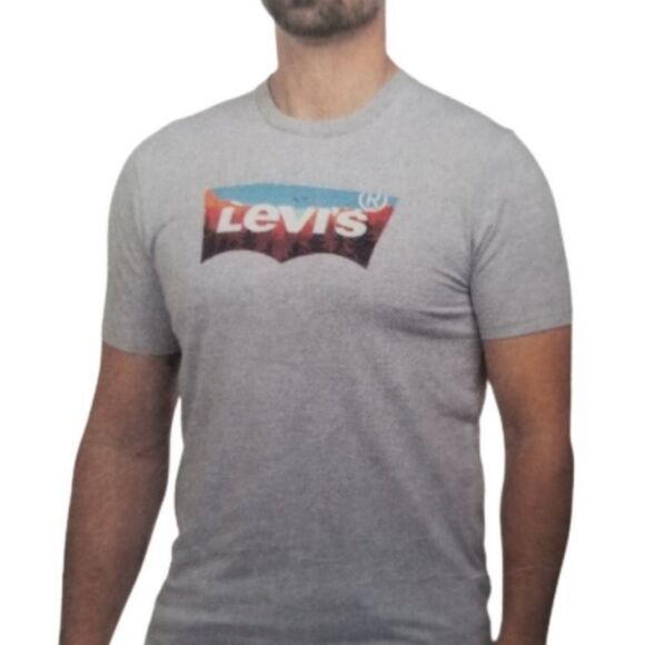 🔹️NWT Levi's Gray Mountain Scene Logo Short Sleeve Top Men's Large - Picture 1 of 6